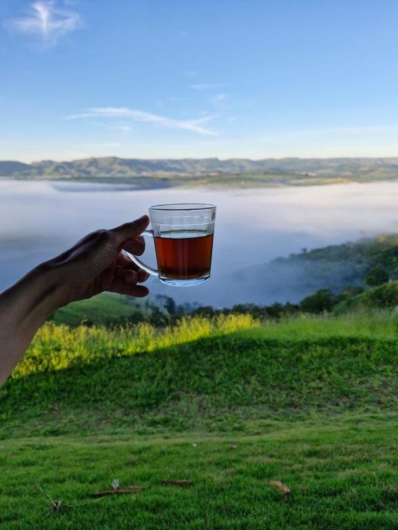 Xícara de chá diante do vale coberto de neblina pela manhã